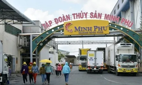 3 con gái của vua tôm Minh Phú nhận chuyển nhượng gần 23 triệu cổ phiếu với giá trị lên đến 400 tỷ đồng