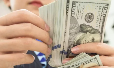 Năm 2023, gần 9.5 tỷ USD kiều hối rót về TP.HCM, cao nhất trong 10 năm