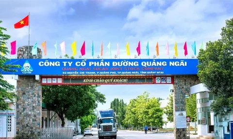 Đường Quảng Ngãi (QNS) doanh thu lần đầu đạt 10.000 tỷ đồng, lãi đột biến gần 2.200 tỷ đồng tăng 70% so với cùng kỳ