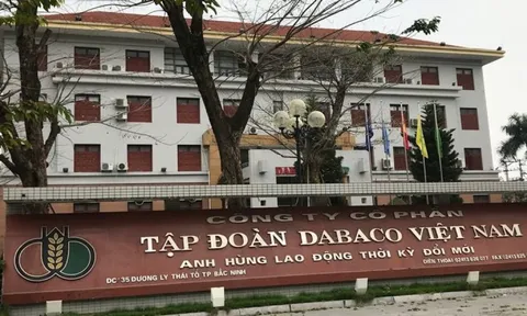 Năm 2023 Dabaco (DBC) lãi 25,01 tỷ đồng, chỉ hoàn thành 4,4% kế hoạch