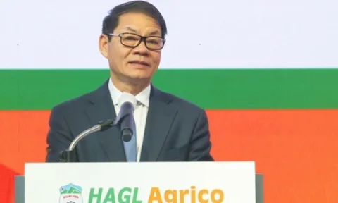 Sau khi về tay tỷ phú Trần Bá Dương, cổ phiếu HNG của HAGL Agrico đối mặt với khả năng hủy niêm yết bắt buộc