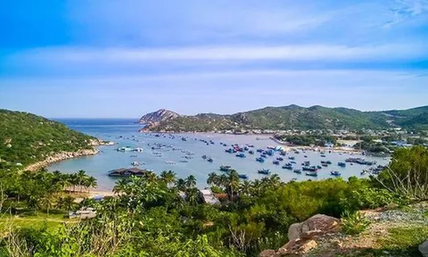 Hàng Loạt ông lớn Ecopark, T&T, Flamingo đổ bộ vào thị trường bất động sản tại Ninh Thuận