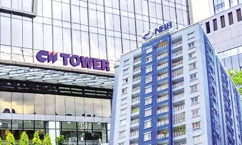 Đầu tư Hạ tầng Kỹ thuật TP. HCM (CII) chuyển phần vốn góp dự án hơn 1.700 tỷ đồng tại Quảng Ngãi cho công ty con