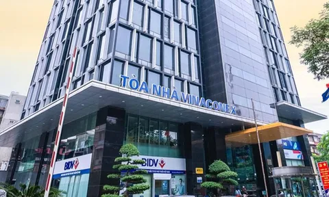 Năm 2023, Vinaconex (VCG) đạt lợi nhuận trước thuế 555 tỷ đồng, vốn chủ sở hữu tăng nhẹ đạt 10.241 tỷ đồng