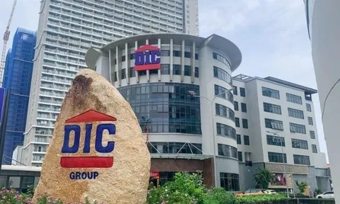 Quý I/2024, Đầu tư Phát triển Xây dựng (DIG) báo lỗ kỷ lục đến 117 tỷ đồng