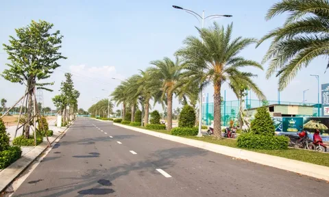 Nhu cầu quan tâm bất động sản Long An tăng 83% sau loạt dự án tỷ đô đổ bộ