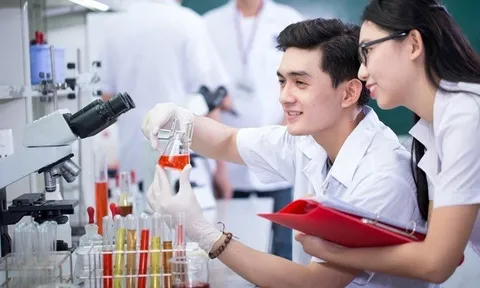 Cổ phiếu ngành dược phẩm: “Gà đẻ trứng vàng”