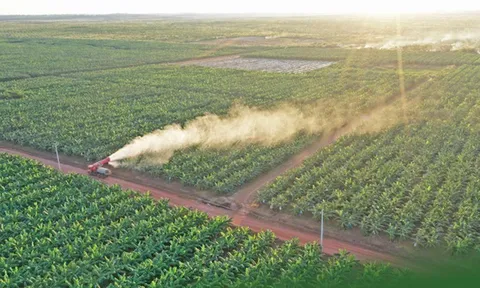 Thaco Agri nợ đìa, ghi nhận mức 42.512 tỷ đồng tăng 40% sau một năm
