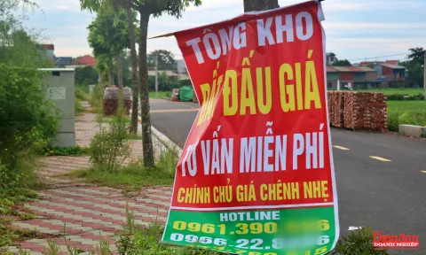 Tái diễn tình trạng bỏ cọc đấu giá đất ngoại thành Hà Nội: Cần tăng chế tài xử phạt