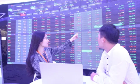 Triển vọng cổ phiếu “kim cương” trong kỳ tái cơ cấu quý IV/2024