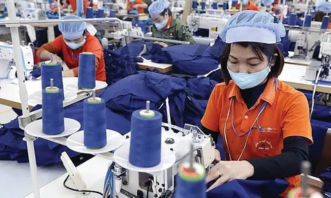 Cần gói tài chính hỗ trợ chuyển đổi xanh