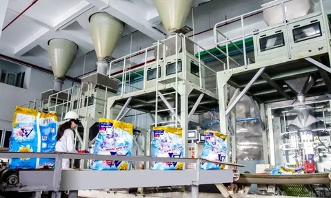 Nghịch lý DGC: Kinh doanh tăng trưởng, cổ phiếu vẫn rơi